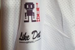 LDAjersey